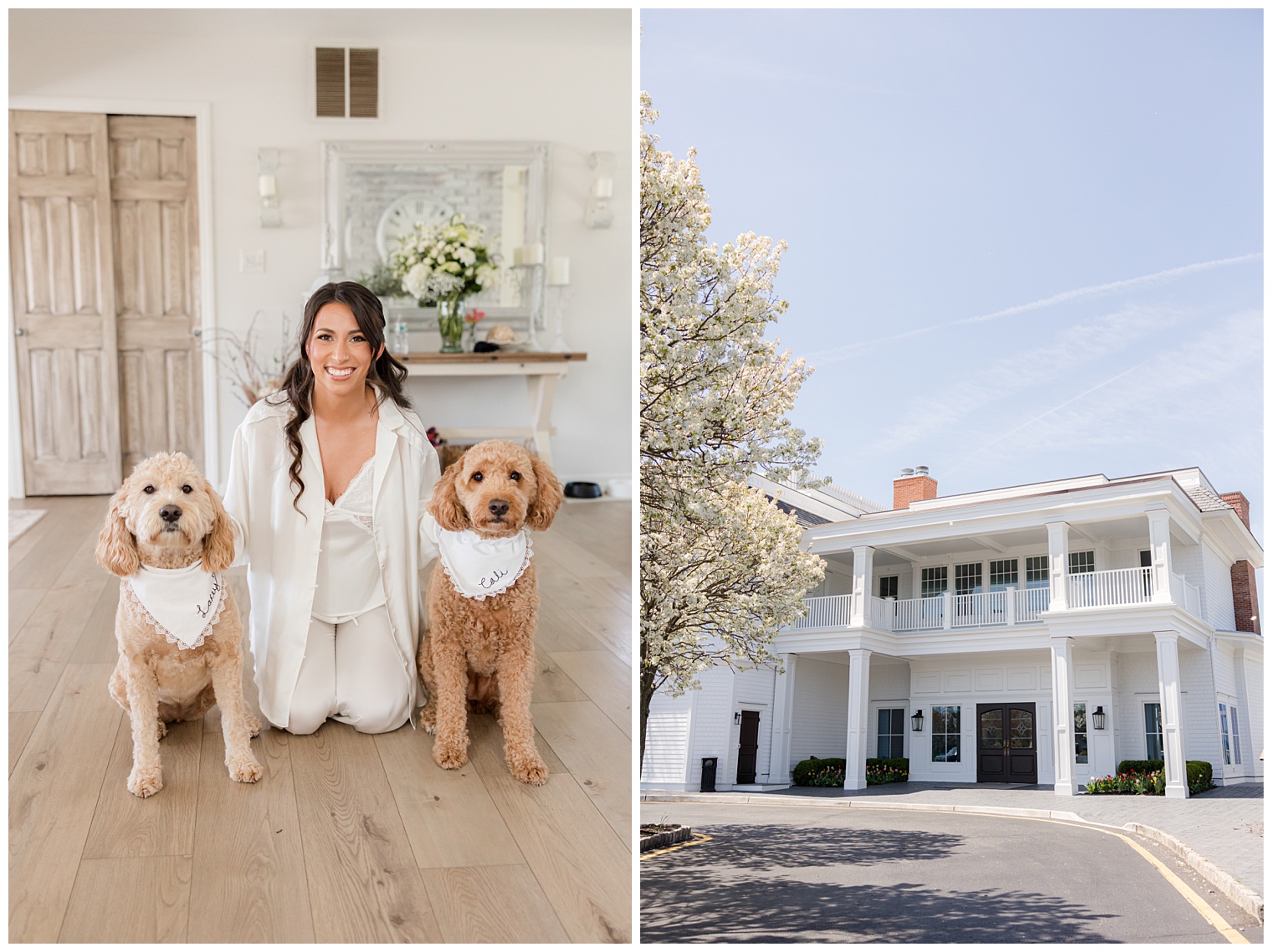 bride with her puppies