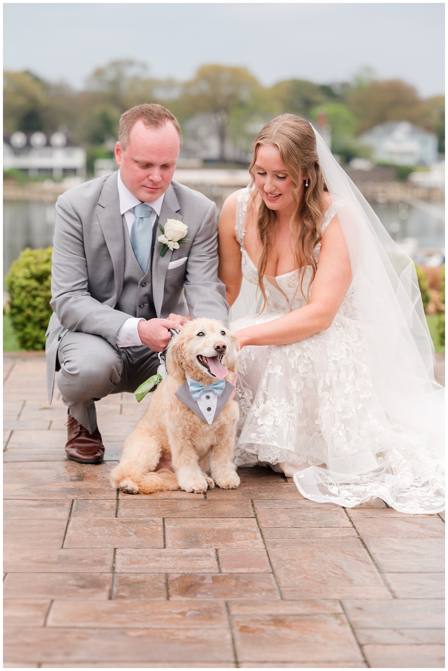 bride and groom with their dog
